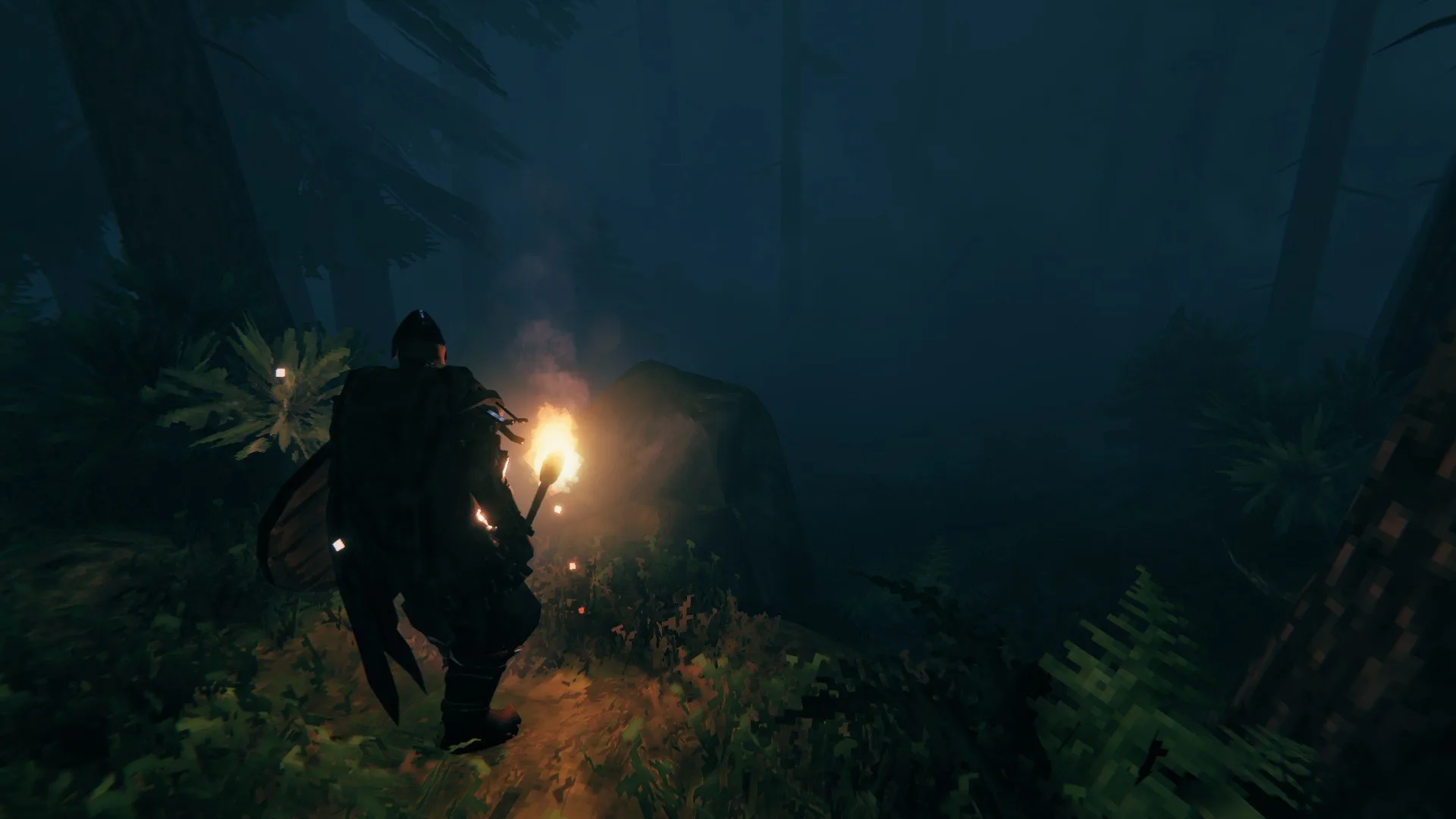 Valheim - Black Forest Biome