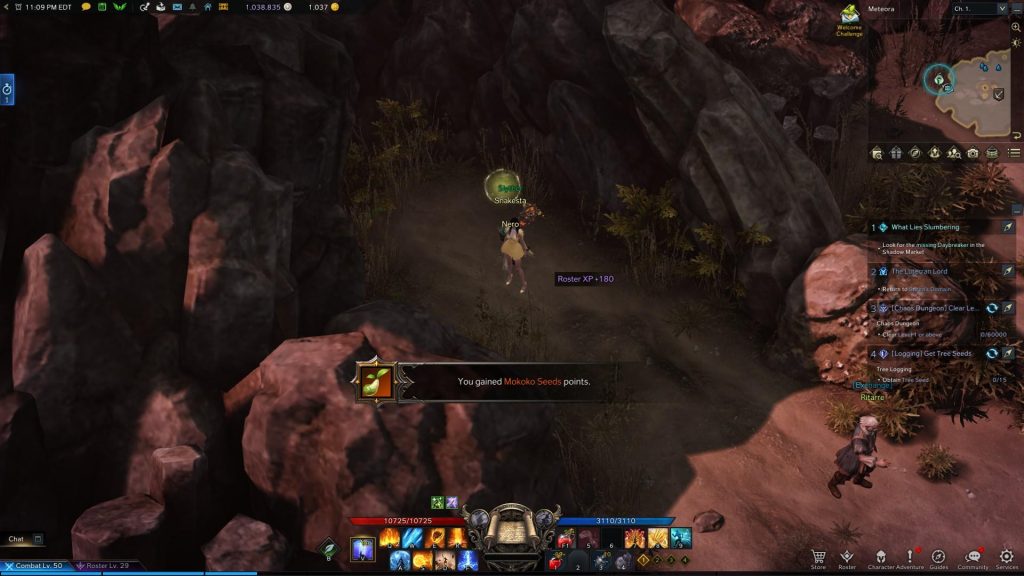 Lost Ark – How to Find Mokoko Seeds Tips