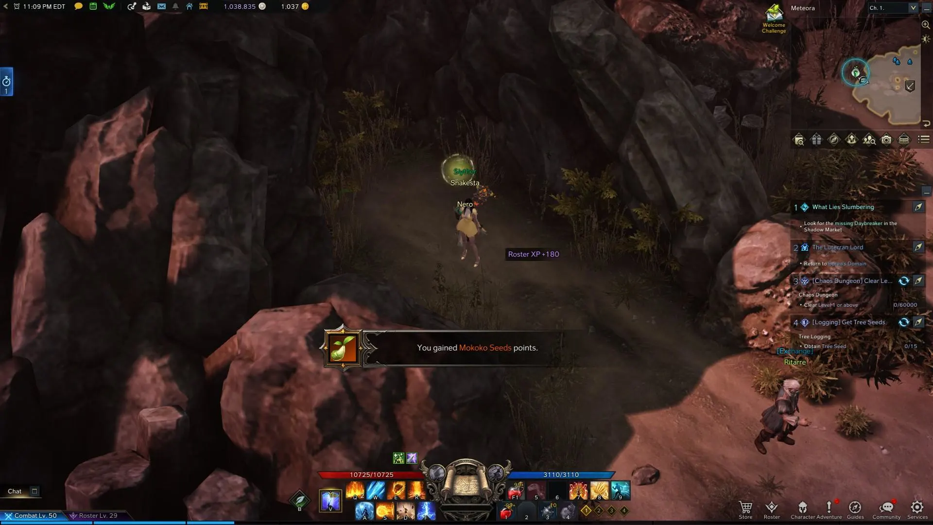 Lost Ark - How to Find Mokoko Seeds