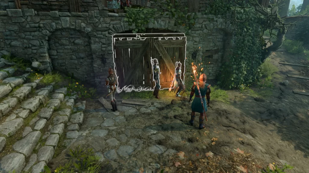 Baldur's Gate 3 - Shabby Wooden Doors in Blighted Village