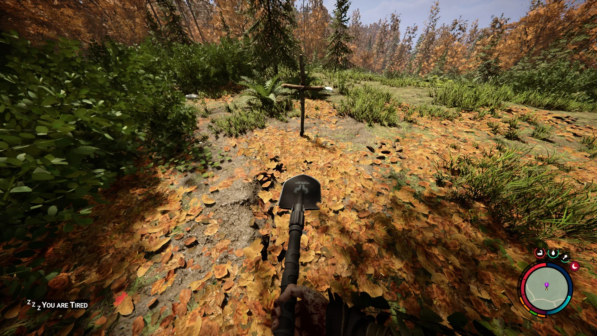 Sons Of The Forest SHOVEL LOCATION - How To Get The Shovel 