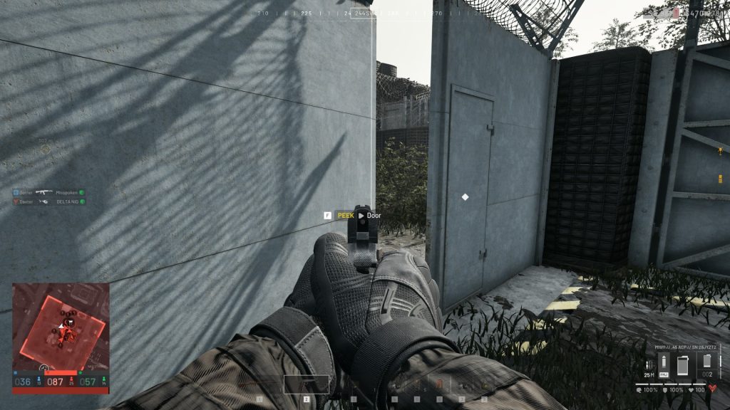 Wardogs Peeking Through a Large Door